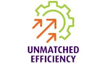 Government Unmatched Efficiency